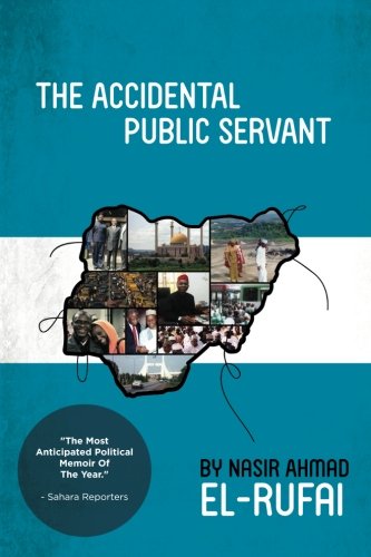 The Accidental Public Servant