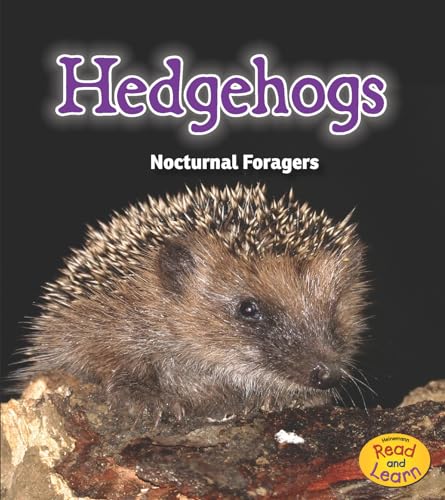 Night Safari Hedgehogs Nocturnal Foragers
