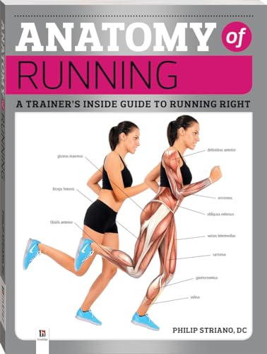 Anatomy of Running