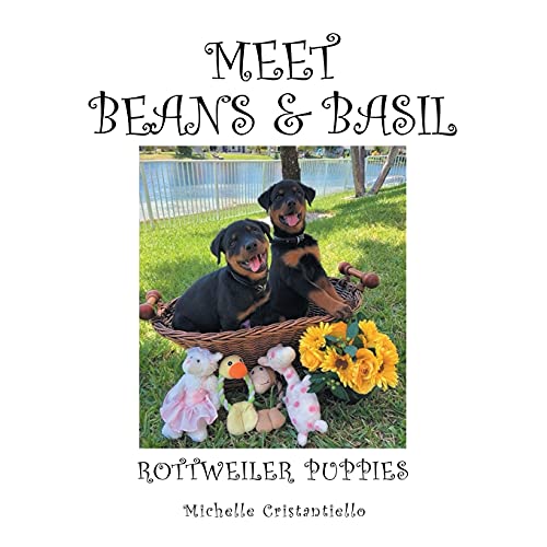 Meet Beans and Basil