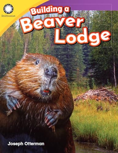 Building a Beaver Lodge