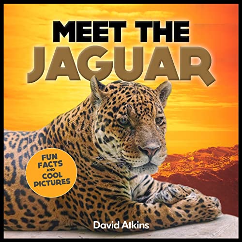 Meet The Jaguar