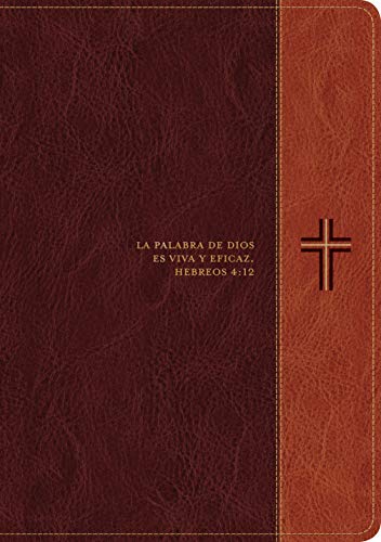 Biblia de Estudio del Diario Vivir Rvr60, Letra Grande (Letra Roja, Sentipiel, Cafï½/Cafï½ Claro)