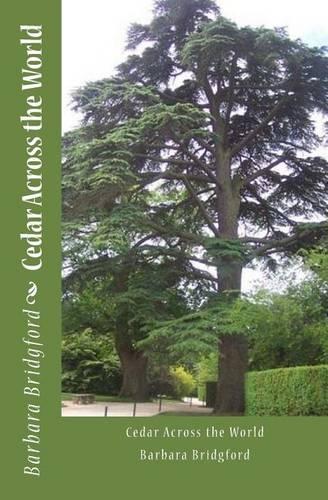 Cedar Across the World