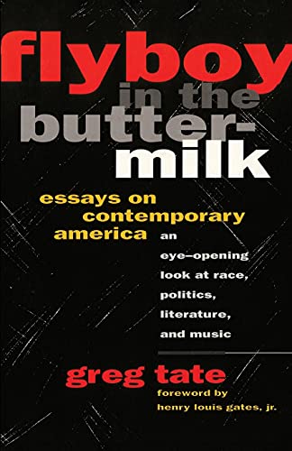 Flyboy in the Buttermilk: Essays on Contemporary America