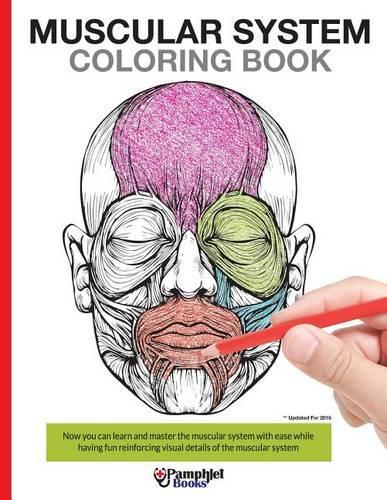 Muscular System Coloring Book