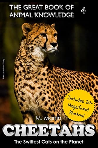 Cheetahs