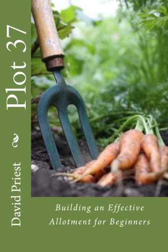 Plot 37: Building an Effective Allotment for Beginners