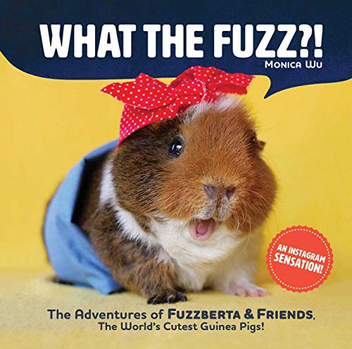 What the Fuzz?!