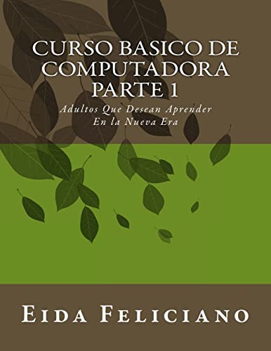Curso Basico De Computadora
