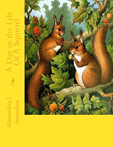 A Day in the Life Of A Squirrel