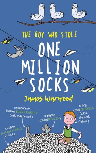The Boy Who Stole One Million Socks
