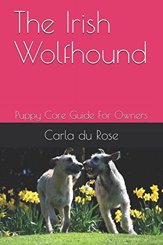 The Irish Wolfhound: Puppy Care Guide For Owners