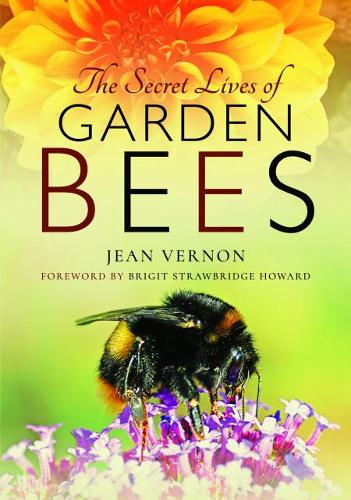 The Secret Lives of Garden Bees