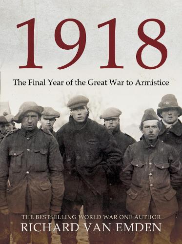 1918: The Final Year of the Great War to Armistice