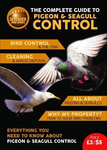 The Complete Guide to Pigeon & Seagull Control
