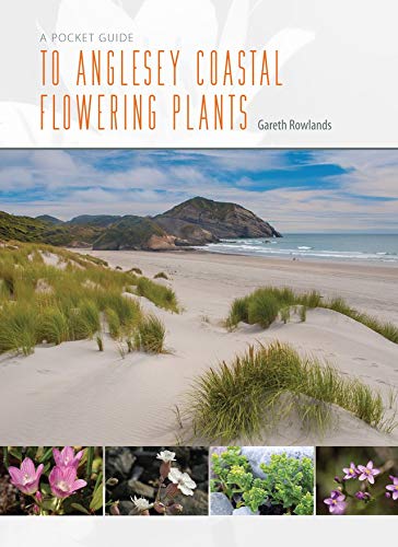 A Pocket Guide To Anglesey Coastal Flowering Plants