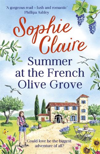 Summer at the French Olive Grove