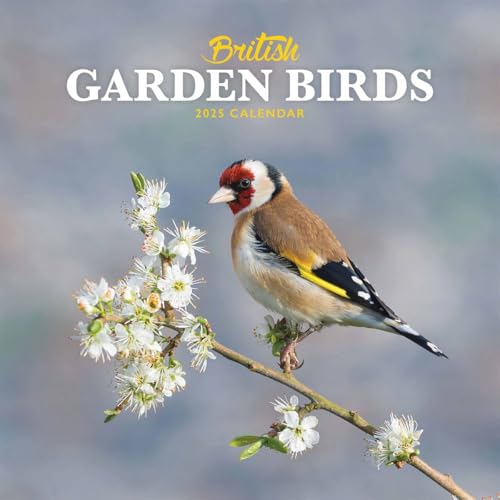 British Garden Birds Mini Wall Calendar 2025 (PFP)