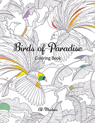 Birds of Paradise