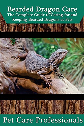 Bearded Dragon Care