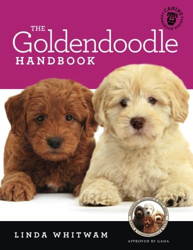 The Goldendoodle Handbook The Essential Guide For New Prospective Goldendoodle Owners