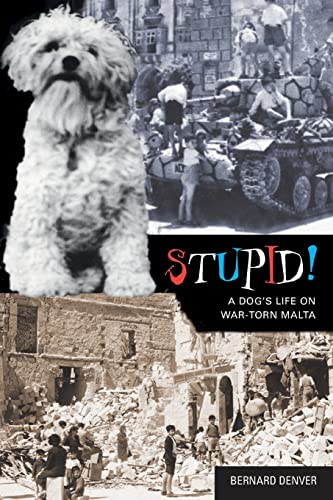Stupid