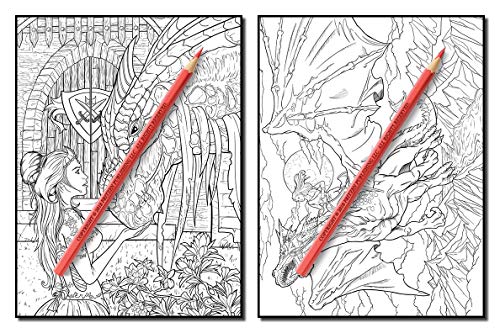 Dragons: An Adult Coloring Book with Mythical Fantasy Creatures, Beautiful Warrior Women, and Epic Fantasy Scenes for Dragon Lovers