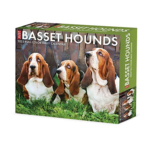 Basset Hounds 2023 Box Calendar
