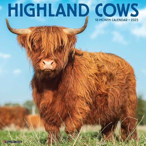Highland Cows 2026 12 X 12 Wall Calendar