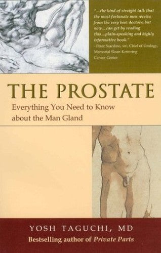 The Prostate: Everything You Need to Know about the Man Gland