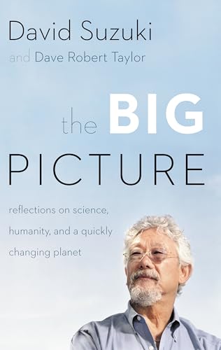 The Big Picture