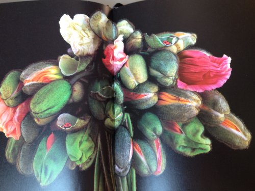 Down in the Garden Journal