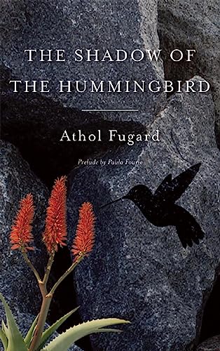 The Shadow of the Hummingbird