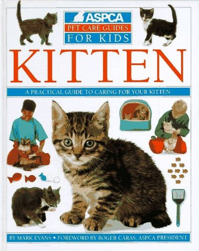 Kitten