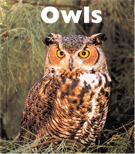 Owls