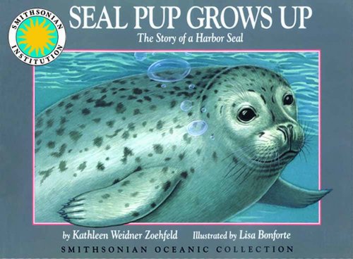 Seal Pup Grows Up