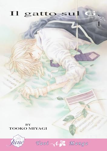 Il Gatto Sul G Volume 1 (Yaoi)