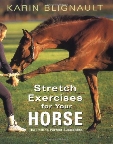 Stretch Exercises for Your Horse