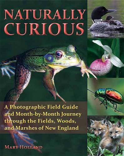 Naturally Curious