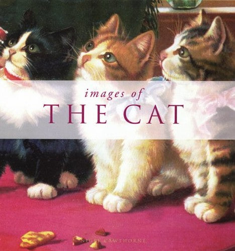 Images of the Cat