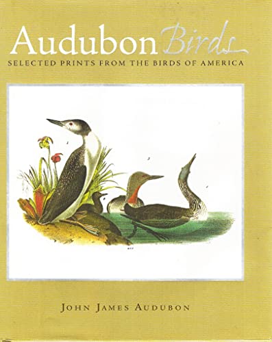 Audubon Birds: Selected Prints From the Birds of America