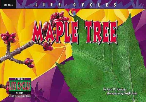 Maple Tree (Life Cycles)