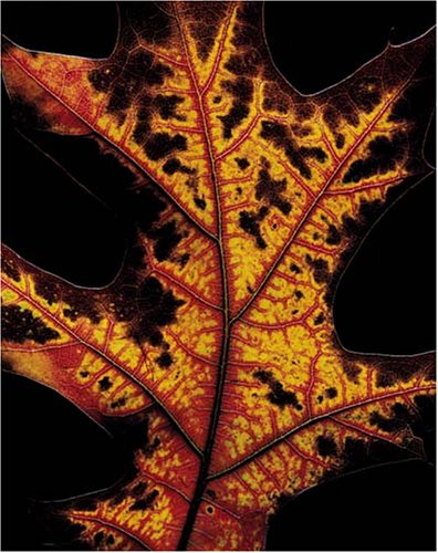 Fall