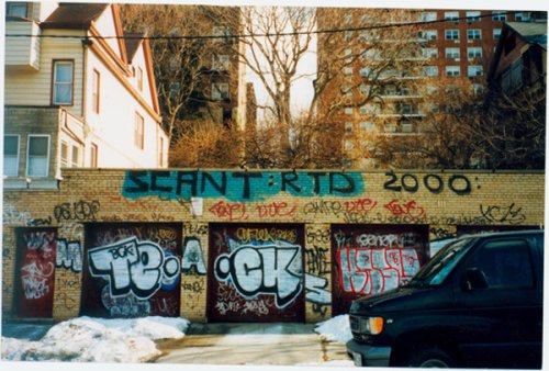 Vandal Squad