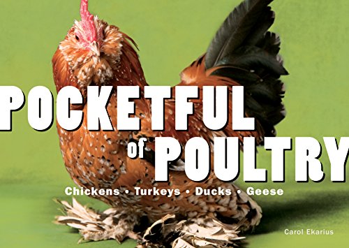 Pocket of Poultry