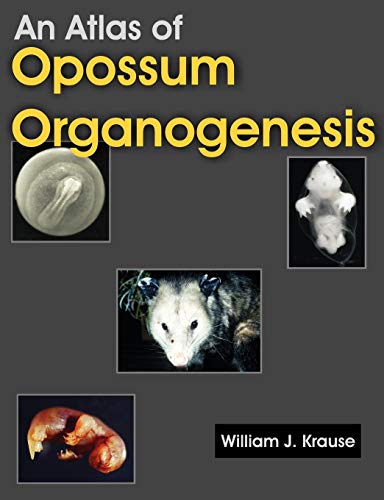 An Atlas of Opossum Organogenesis