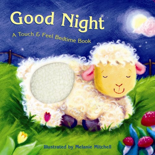 Good Night A Touch Feel Bedtime Book