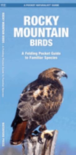 Rocky Mountain Birds