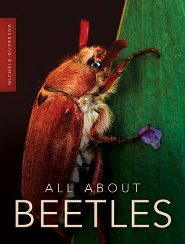 All About Beetles